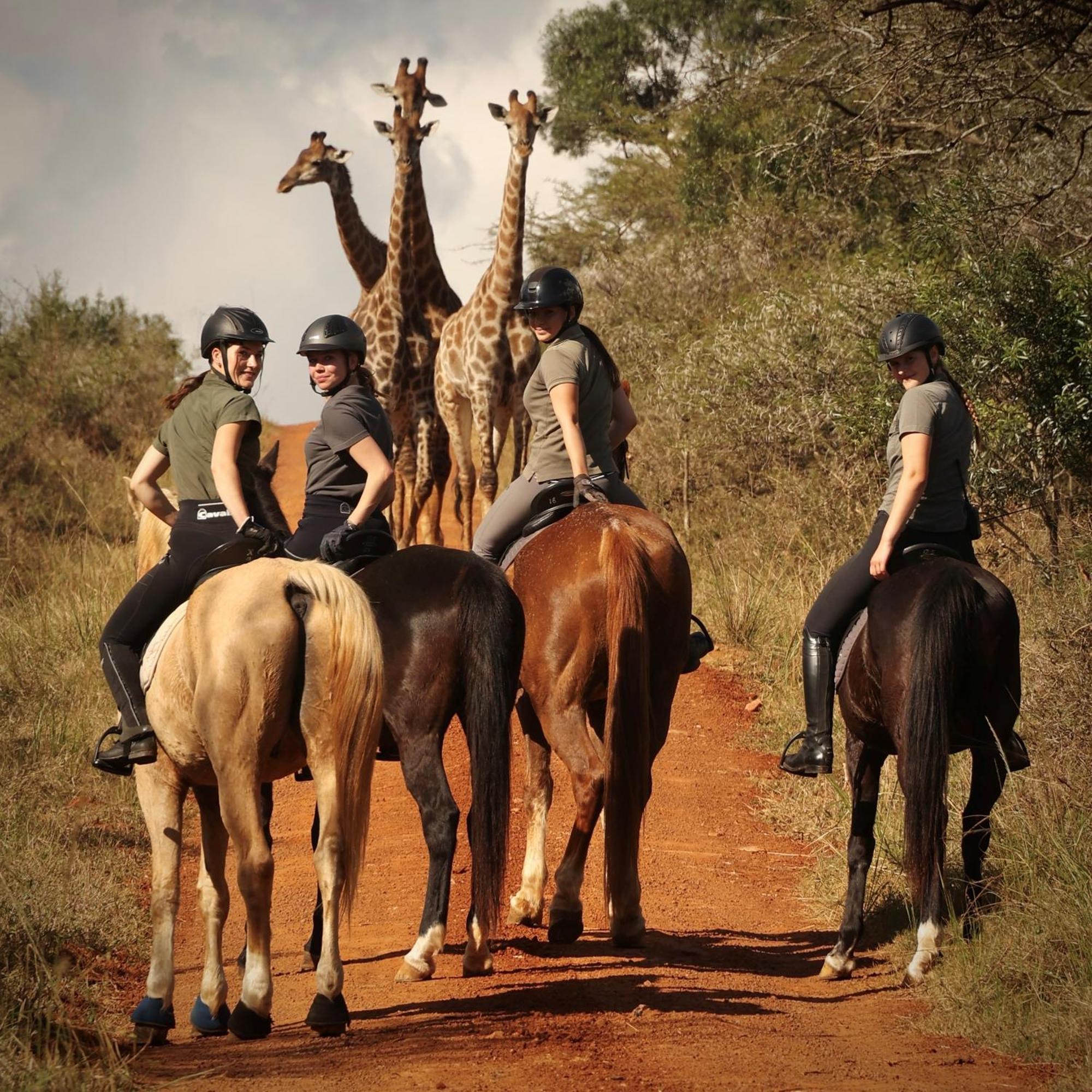Pakamisa Private Game Reserve Pongola Exterior foto