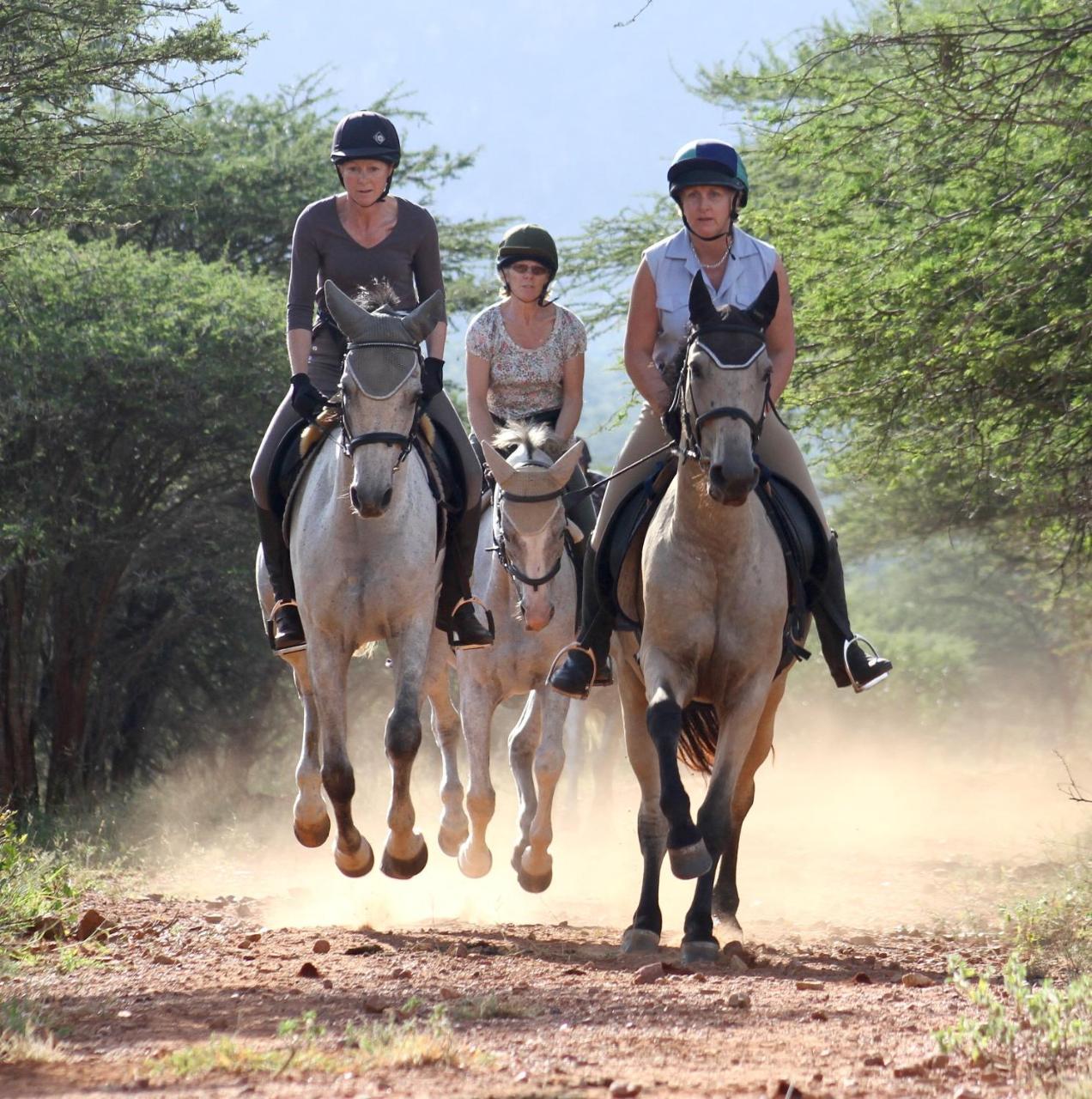 Pakamisa Private Game Reserve Pongola Exterior foto